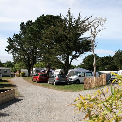 Kampeerplaats - Comfort pakket met elektriciteit: 1 auto + 1 tent of 1 caravan of 1 camper