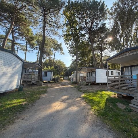 Camping Paradis - Les Rochelets  - Camping Loire-Atlantique - Image N°5