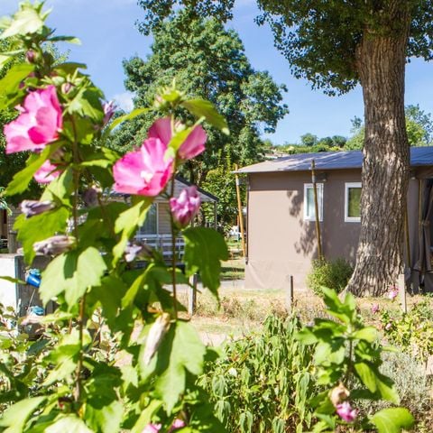 LODGE 4 persone - Casa mobile con 2 camere da letto - terrazza coperta