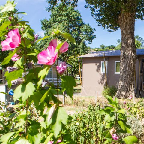 Lodge 4 personen - Mobilodge 2 Zimmer - überdachte Terrasse