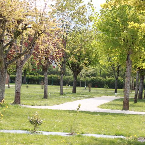 Camping Romanée - Les Cochards Camping Romanée - Les Cochards - Camping Loir-et-Cher - Image N°22