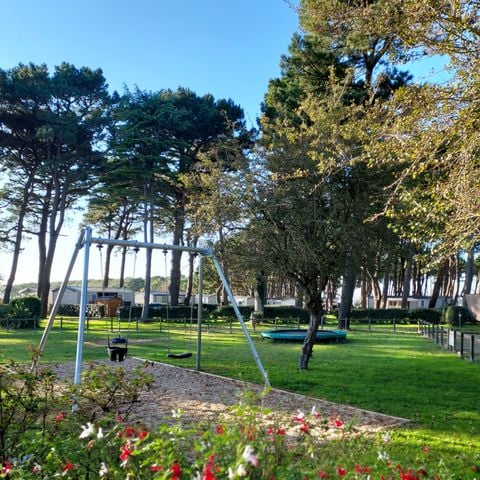 Pitch - Bare pitch - Tent & Caravan - with electricity -