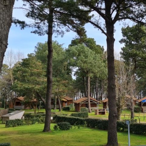 Kampeerplaats - Kale kampeerplaats - Tent & Caravan - met elektriciteit