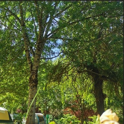 PARCELA - Vehículo eléctrico