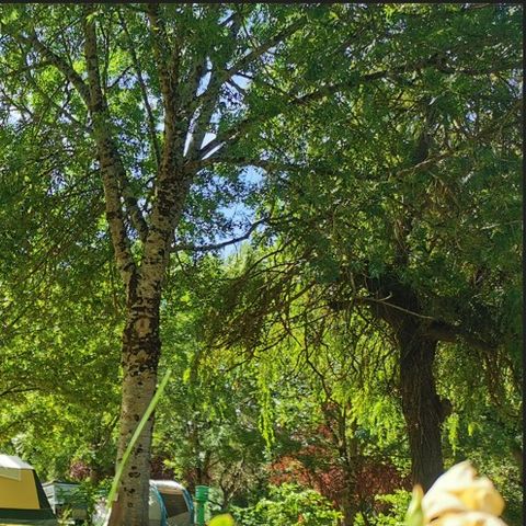 PIAZZOLA - Veicolo con elettricità