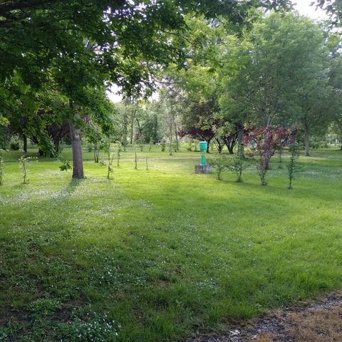 PARCELA - Vehículo eléctrico