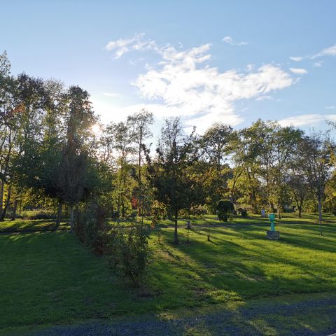 PIAZZOLA - Veicolo con elettricità
