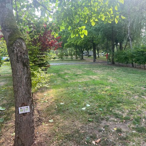 Pitch - Grand Confort +