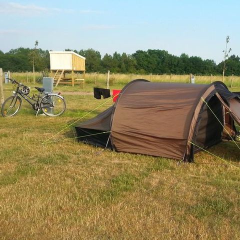 STAANPLAATS - Comfortpakket (1 tent, caravan of camper / 1 auto / elektriciteit)