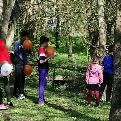 Camping Au Bord de Loire - Camping Maine-et-Loire - Image N°6