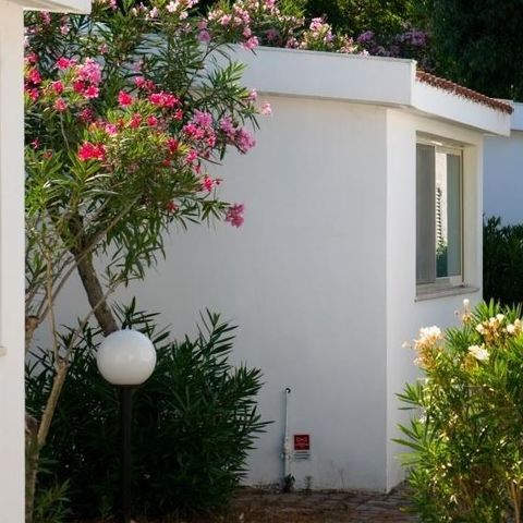 Country house 3 persons - BUNGALOW STUDIO