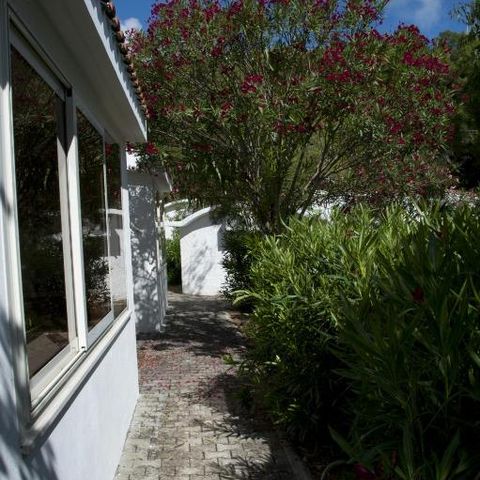 Country house 3 persons - BUNGALOW STUDIO