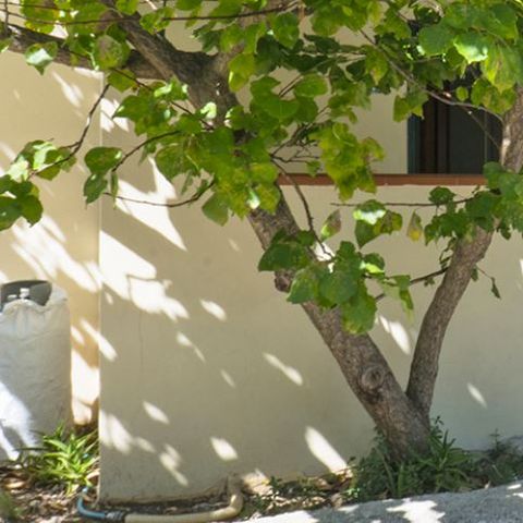 Bungalow 3 personnes - Rubino - 2 pièces - Zone Mer