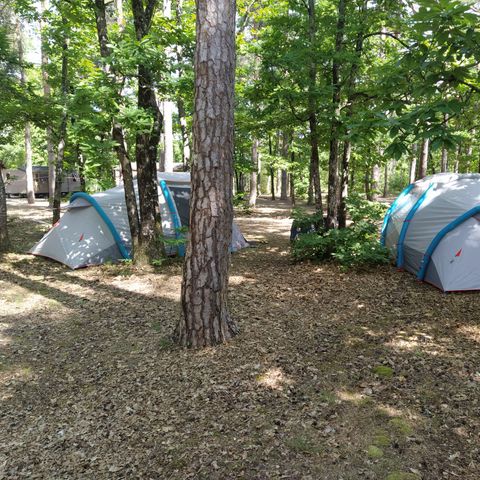 STAANPLAATS - Camping