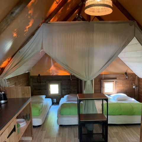 Lodge 4 persons - Standard Amazon Lodge 20 m2 + Terrace