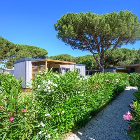 Mobile home 4 persons - OCEANE PREMIUM 2 bedrooms