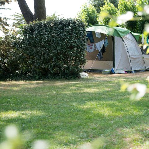 EMPLACEMENT - pour Caravane ou tente de 80M² inclus 2 personne, l'électricité et un véhicule