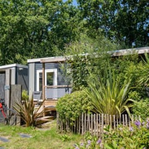 Mobilheim 4 Personen - Cottage COLIBRI 4p 2Zi PREMIUM