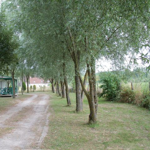 Chalet 4 Personen - CANNELLE