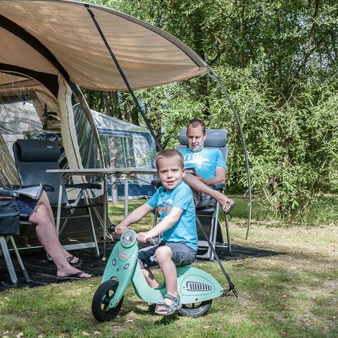 PLOT - Pitch COMFORT: pitch from 100m2 with 1 vehicle + tent/caravan/camping-car and 10 amp electricity