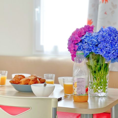 Mobilheim 4 Personen - Mobilheim CLASSIC 2 Zimmer