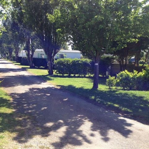 Pitch - Pitch + 1 car + 1 tent, caravan or motor home