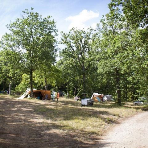 Pitch - Location Nature