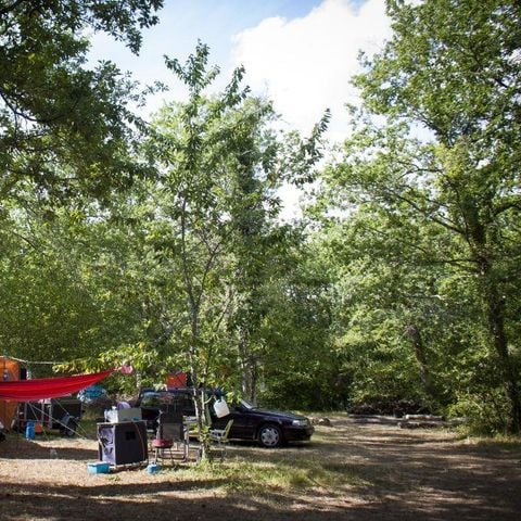 STAANPLAATS - Locatie Natuur