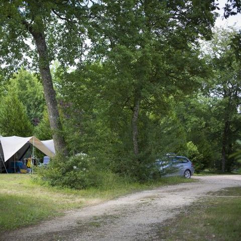 STAANPLAATS - Privilege XL 4* staanplaats