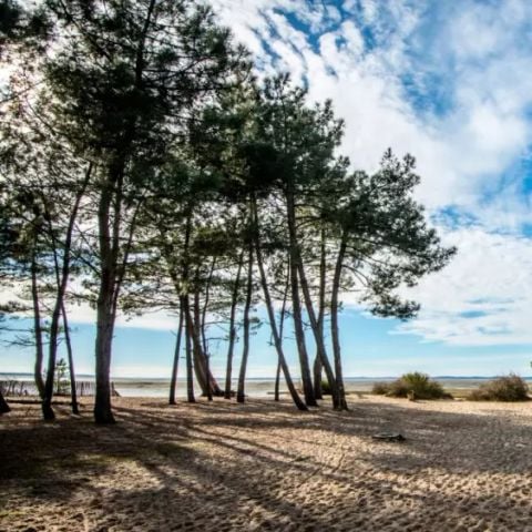 MOBILHOME 4 personnes - Confort 3 Pièces 4 Personnes + TV