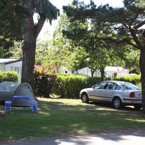 Camping Du  Menhir - Camping Morbihan - Image N°3