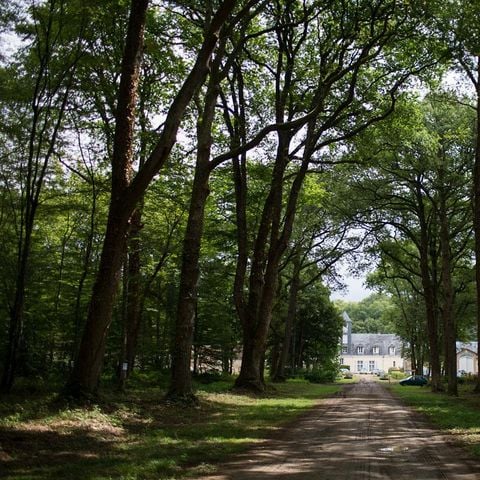 STAANPLAATS - Enkele standplaats > (Water / Geen elektriciteit)