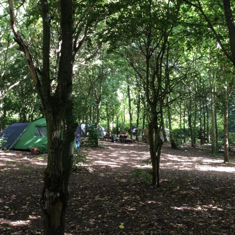 PARCELA - Parcela individual > (Agua / Sin electricidad)