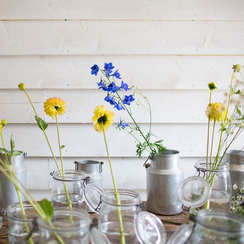 Pitch - Classic Pitch > (Water / Electricity included)