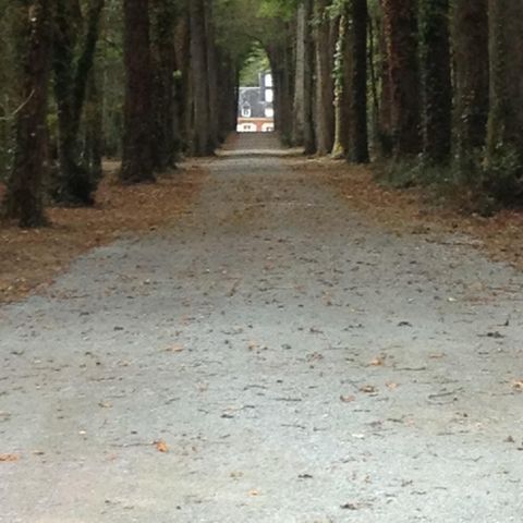 Stellplatz - Stellplatz Classique Camping Car > (Wasser /Strom inbegriffen)