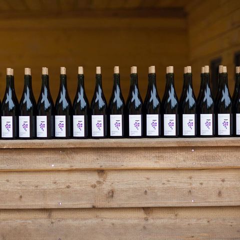 PIAZZOLA - Piazzola Classic Car > (Acqua/Elettricità inclusa)