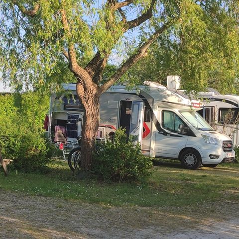 STAANPLAATS - Pakket kampeerplaats (elektriciteit)