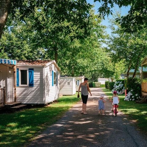 Flower Camping La Blanche Hermine - Camping Morbihan - Image N°6