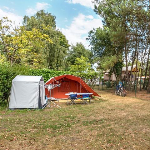 Pitch - Bare pitch Package for 2 people: with electricity + vehicle (max. 4 adults)