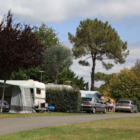 PIAZZOLA - Pacchetto piazzola nuda per 2 persone: con elettricità + veicolo (max. 4 adulti)
