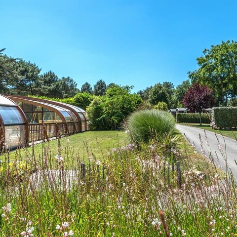 Pitch - Bare pitch Package for 2 people: with electricity + vehicle (max. 4 adults)