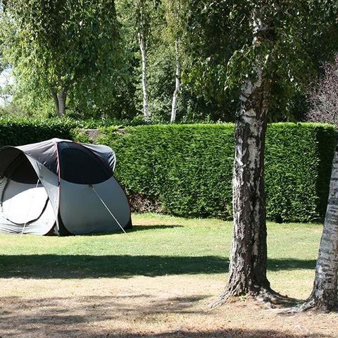 Kampeerplaats - Kale standplaats Pakket voor 2 personen: met elektriciteit + voertuig (max. 4 volwassenen)