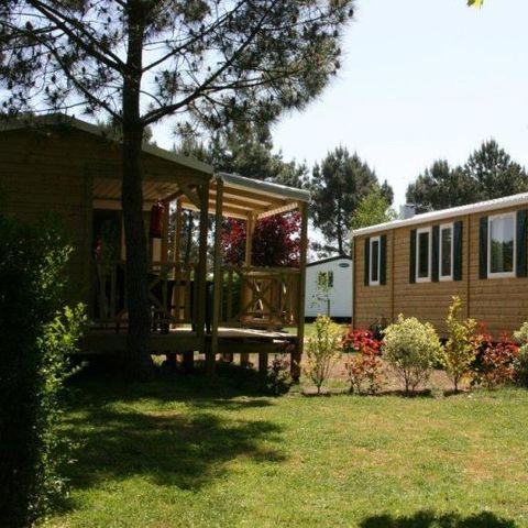 Mobile home 6 persons - CLASSIC 28-2 >10years - max 4 adults - TV, 2 bedrooms, approx. 28m