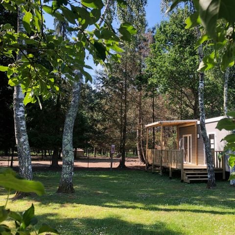 BUNGALOW 6 personnes - CONFORT 30-2 - maxi 4 adultes - TV, 2 chambres (lit 160*200), environ 30m², 2 chiliennes