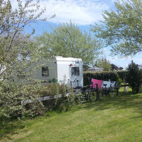 Kampeerplaats - Comfortpakket (1 tent, caravan of camper / 1 auto / 10A elektriciteit)