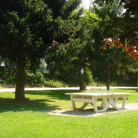 Stellplatz - Camping-Stellplätze, geräumig, halbschattig, mit Wasser- und Stromanschluss.