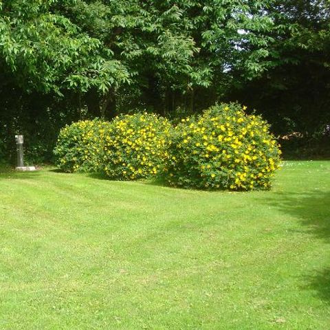 Stellplatz - Camping-Stellplätze, geräumig, halbschattig, mit Wasser- und Stromanschluss.