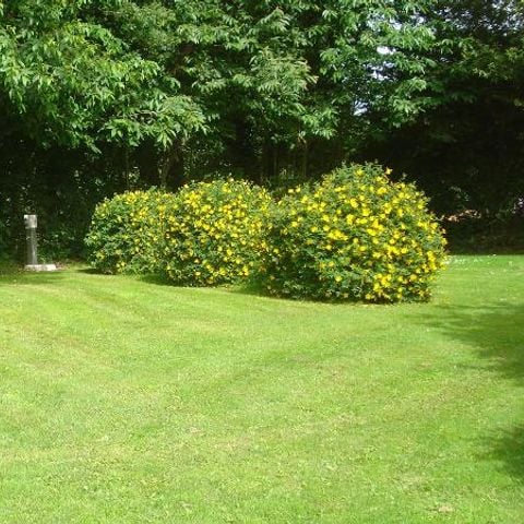 Pitch - Spacious, semi-sheltered camping pitches, each with water and electricity.