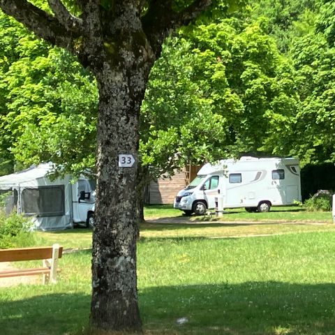 STAANPLAATS - 2 personen + tent-auto of caravan-auto of camper + elektriciteit