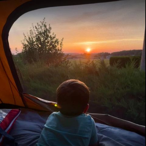 Pitch - Pitch WITH electricity